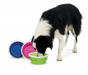 collapsible pet dog bowls