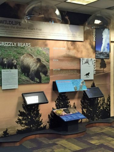 9_Exhibits at Bozeman Yellowstone International Airport educate travelers about wildlfie they might see in Yellowstone Park_courtesy of the airport.
