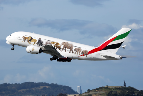 Emirates wildlife plane