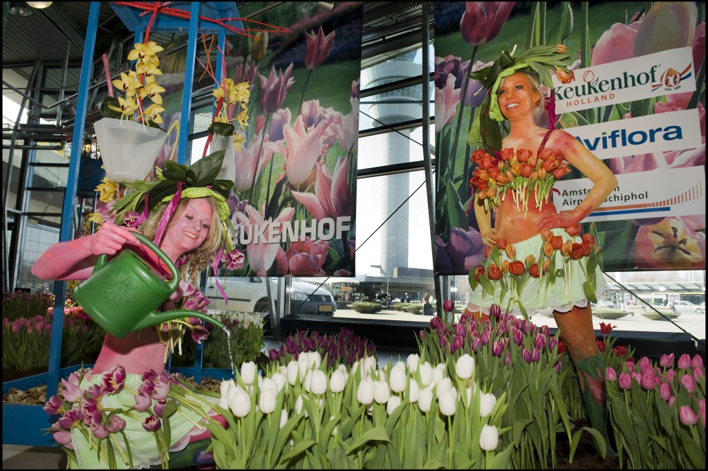 Spring flowers at Amsterdam Schiphol Airport Stuck at the Airport