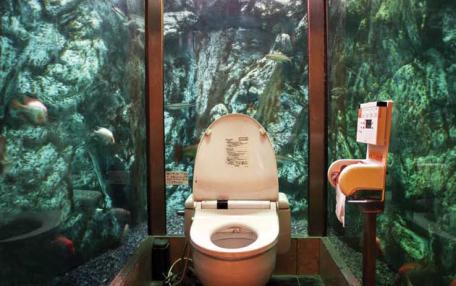 aquarium-toilet