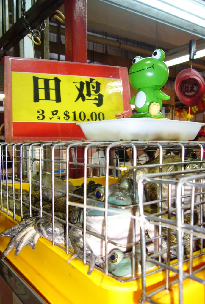 Changi frog