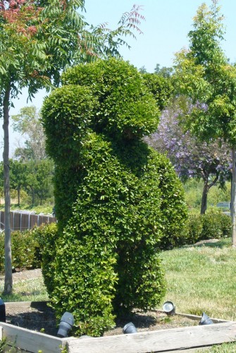 Topiary bear greets travelers at San Jose International Airport