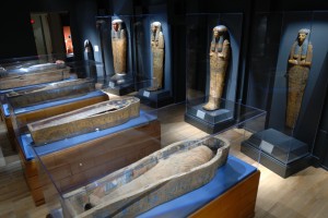 Egyptian Galleries at Emory University Michael C. Carlos Museum