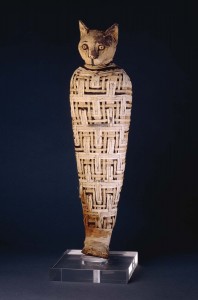 Cat Mummy from the British Museum 