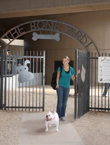 Bone Yard pet relief area at PHX