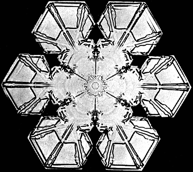 Airlines cancel flights, but airports stay open