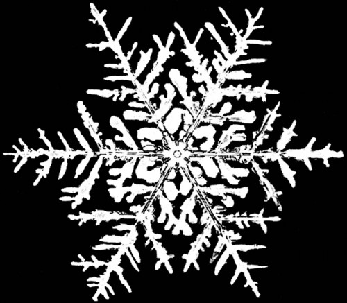 bentley snowflake
