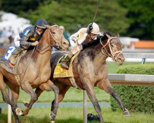 Horses, Kentucky Derby