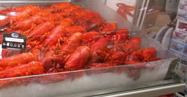 Halifax Lobsters