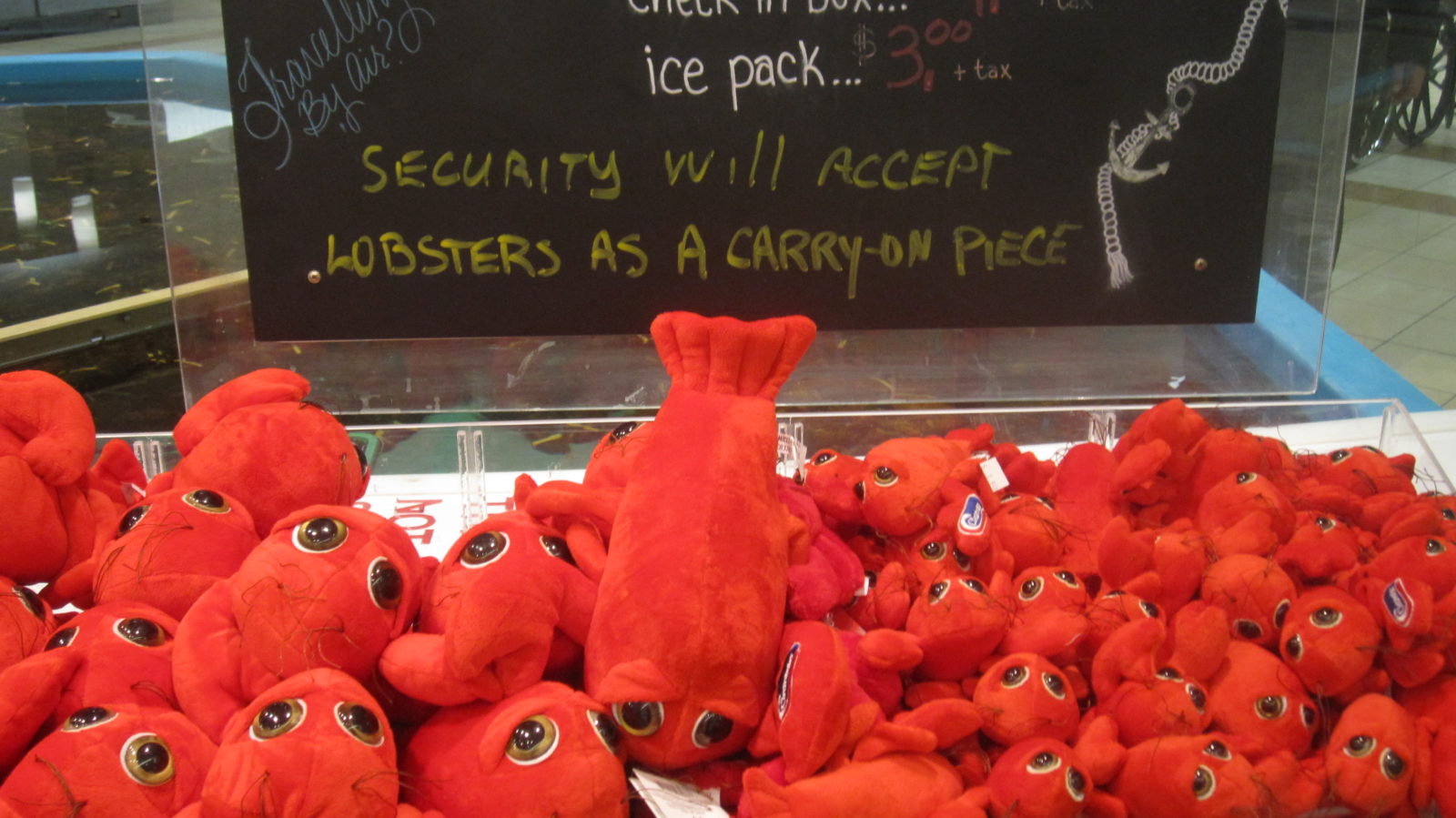 halifax lobster stuffed toy