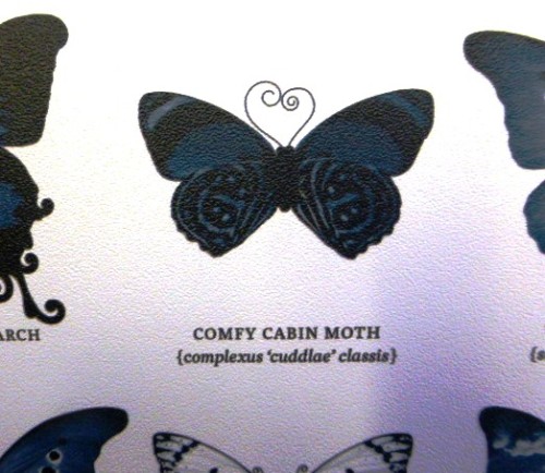Another unusual butterfly name spotted on the lavatory wallpaper
