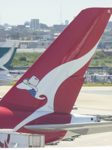 The Qantas kangaroo got a makeover for flight from Sydney to Dallas