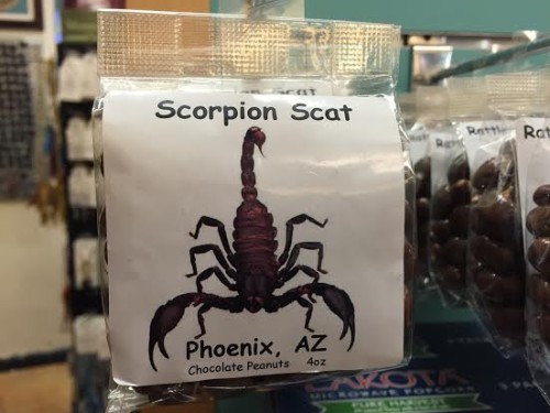 PHX Scorpion scat
