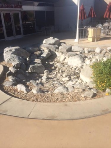 Palm Springs International Airport pond without water - now