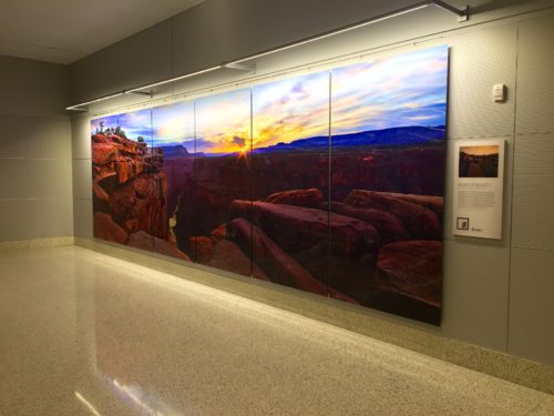 13_'Blaze of Beauty' by  Peter Lik at McCarran Intl Airport in Las Vegas