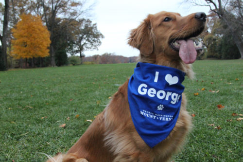 George Washington's Mount Vernon - All the President's Pups walking tour