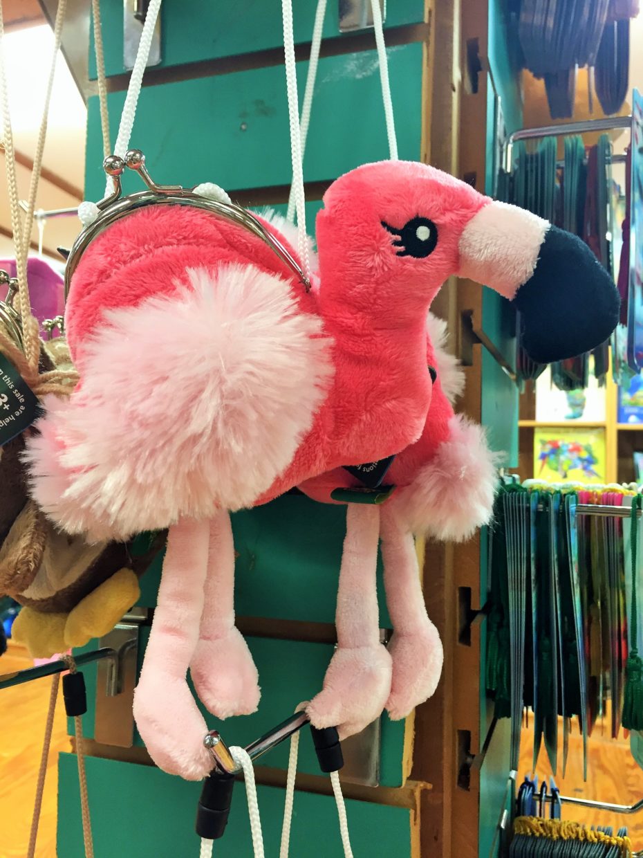 Souvenir Sunday from Fort Lauderdale Stuck at the Airport