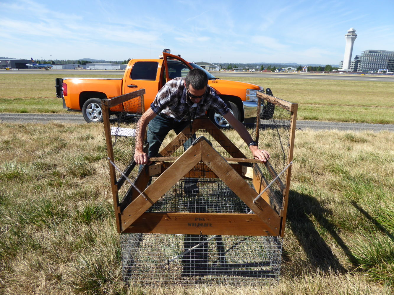 More stories of wildlife at airports Stuck at the Airport