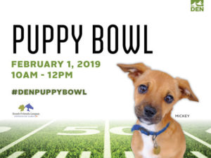 Puppy Bowl at Denver Airport
