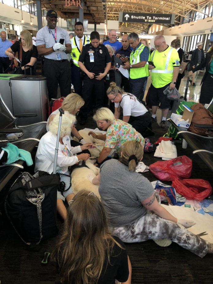 Tampa Int'l latest airport to tighten leash on pets Stuck at the Airport