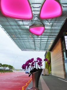 World’s Best Airports for 2019. And the World’s Cleanest Airport.