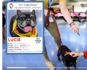 Travel Tidbits from PIT Airport