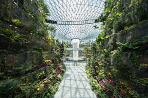 Watch: Light & sound show at Jewel Changi Airport