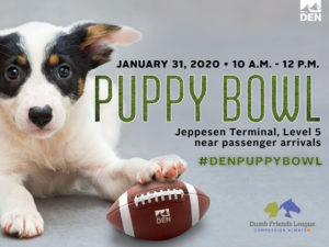Denver International Airport’s Puppy Bowl