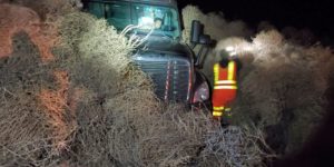 Tumbleweed invasion