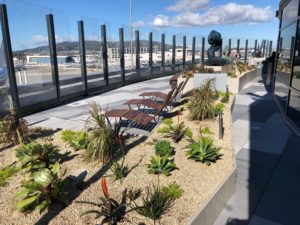 5 Things We Love About: San Francisco International Airport (SFO)