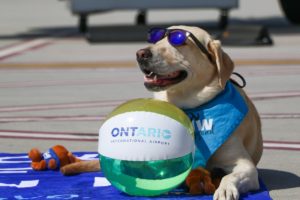ONT – 5 Things We Love about Ontario International Airport