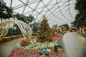 Now at Changi Airport: dinosaurs and glamping