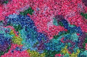 New art at Miami and Minneapolis-St. Paul Int’l Airports