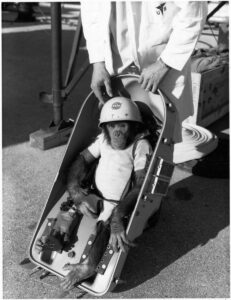 Travel Tidbits: an Astrochimp, airplane models, and more