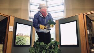 Airport jokes & other travel tidbits
