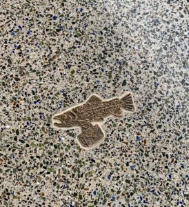 Something Fishy Spotted at Seattle-Tacoma Int’l Airport