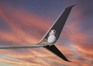 Alaska Airlines’ new Star Wars-themed airplane