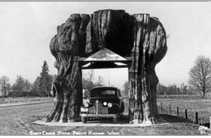 Road Trip Memories