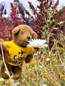 Touring London with Gatwick Airport’s Mascot