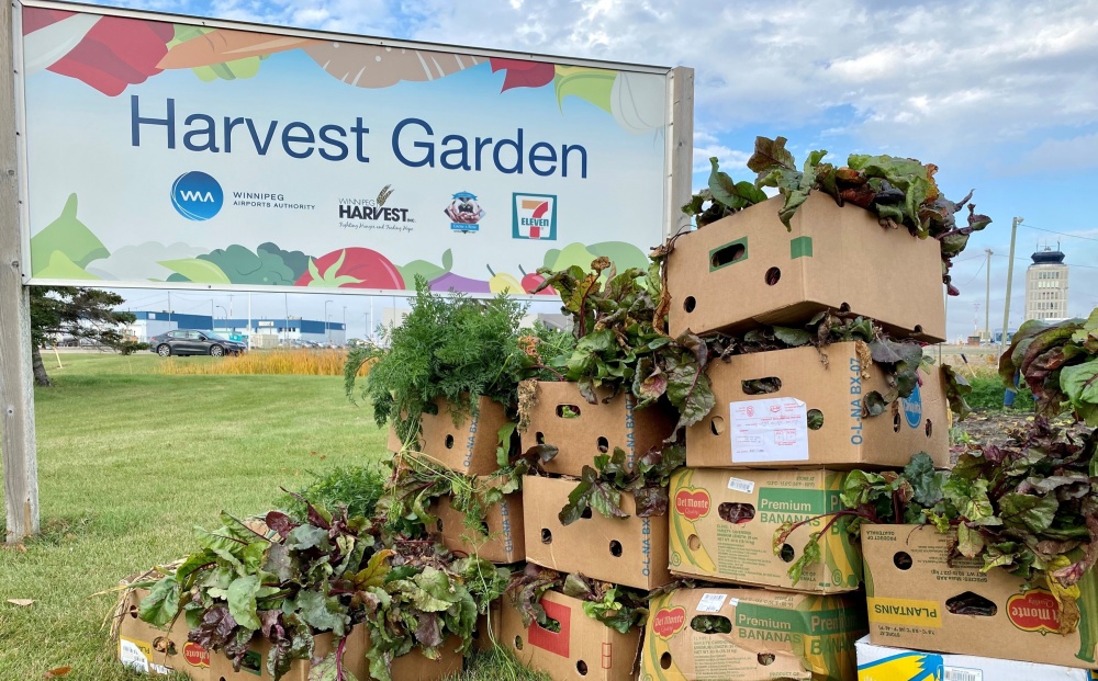 Airport Garden Helps Feed its Community