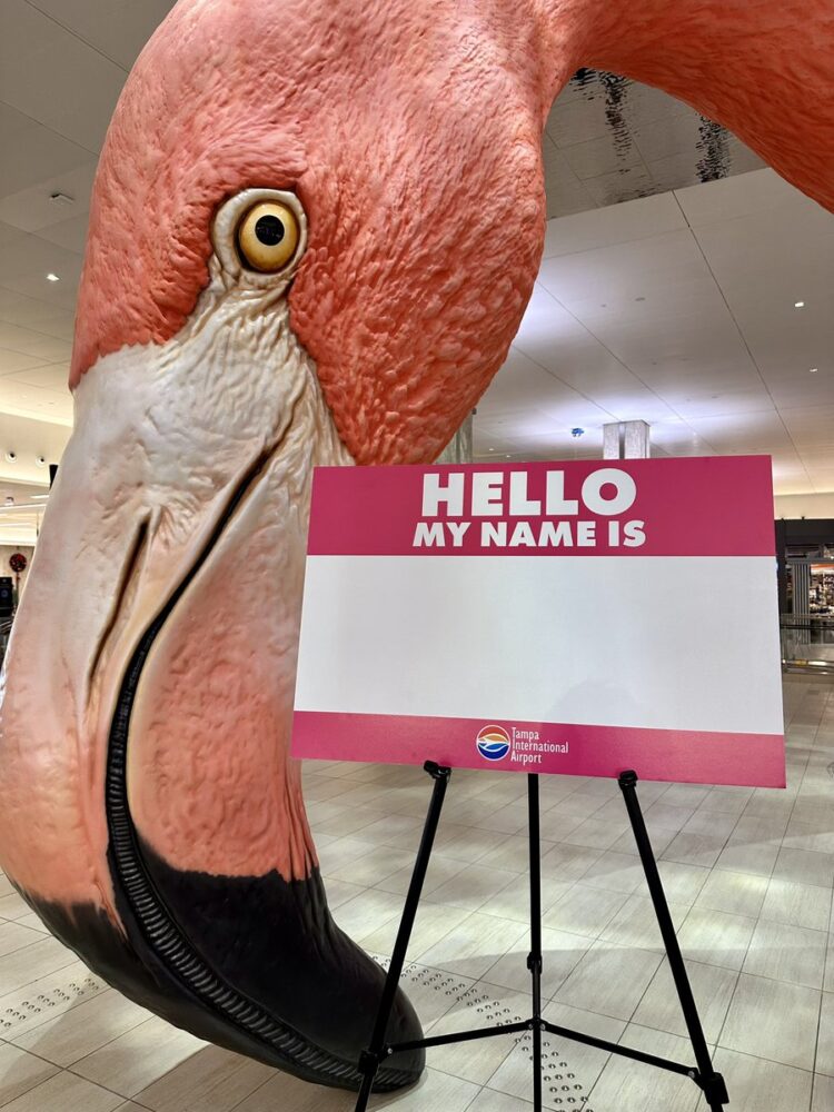 TPA’s Flamingo Needs a Name
