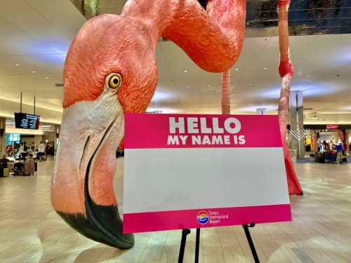Hurry to Help Name Tampa Int’l Airport’s Flamingo