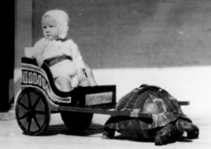 SFO Museum’s 52 Objects: Baby on Board