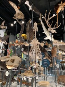 February is Museum Month in Seattle & San Diego