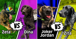 TSA’s Cutest Canine Contest
