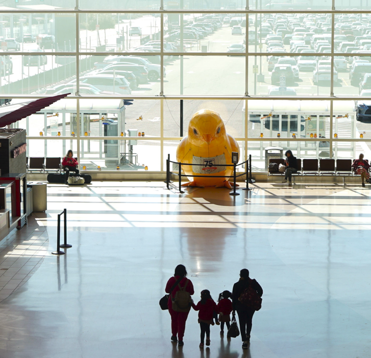 It’s all ducky at San Jose Mineta Int’l Airport