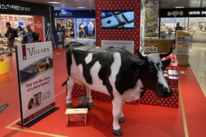 Milk a cow, get some chocolate at Geneva Airport