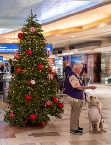 Holiday fun – and prizes – at PHX Airport