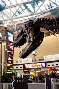 Watch out for the dinosaur at IND Airport